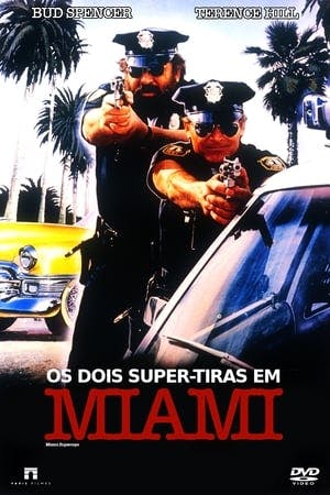 Os Dois Super-Tiras em Miami Online em HD