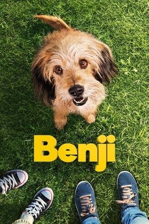 Benji Online em HD