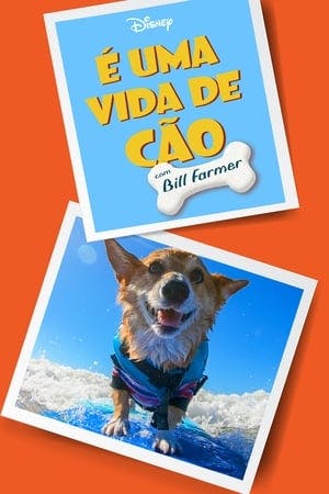 É Uma Vida de Cão, com Bill Farmer Online em HD