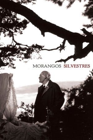 Morangos Silvestres Online em HD