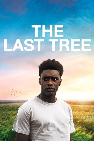 The Last Tree Online em HD