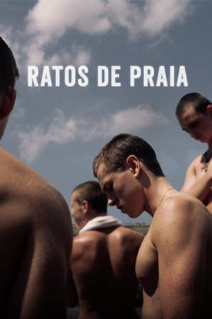 Ratos de Praia Online em HD