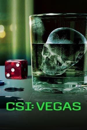 CSI: Vegas Online em HD