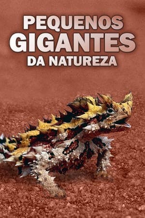 Pequenos Gigantes da Natureza Online em HD