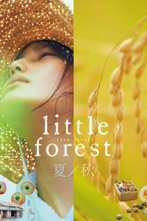 Pequena Floresta: Verão/Outono Online em HD