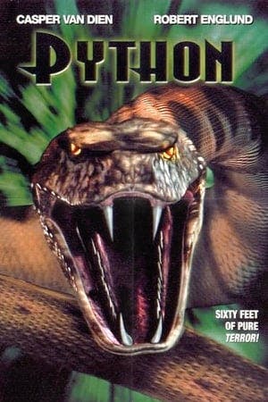 Python Online em HD