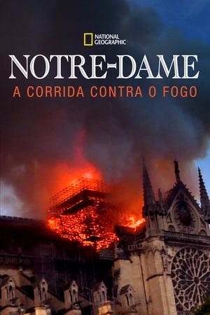 Notre Dame: A Corrida Contra o Fogo Online em HD