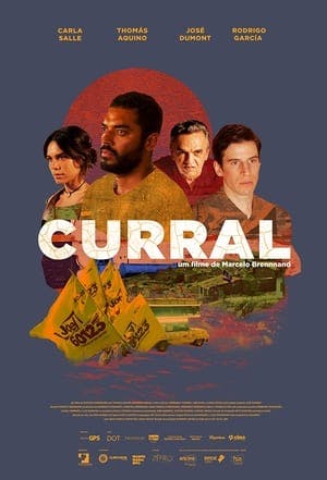 Curral Online em HD