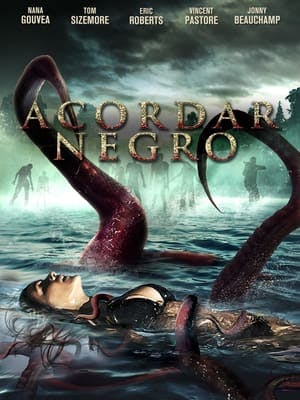 Acordar Negro Online em HD