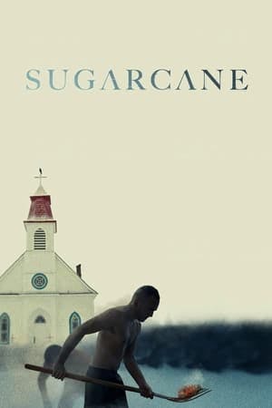 Sugarcane Online em HD