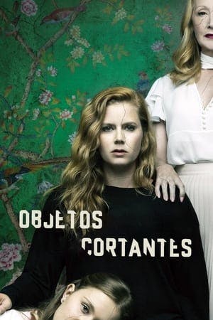 Objetos Cortantes Online em HD