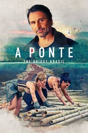 A Ponte: The Bridge Brasil Online em HD