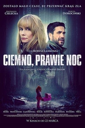 Ciemno, prawie noc Online em HD