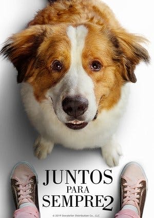 Juntos para Sempre Online em HD