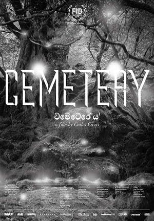 Cemetery Online em HD