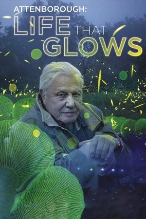 Attenborough’s Life That Glows Online em HD