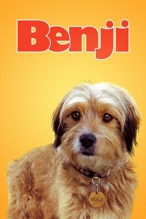Benji Online em HD