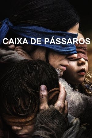 Caixa de Pássaros Online em HD