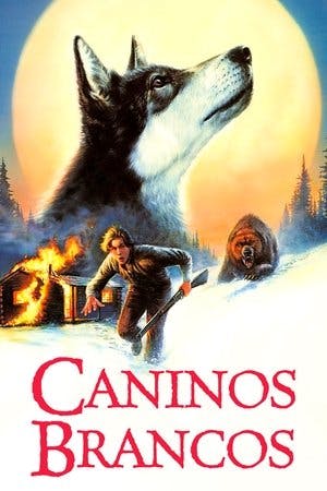 Caninos Brancos Online em HD