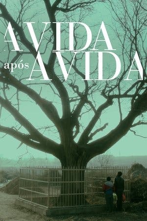 A Vida Após a Vida Online em HD