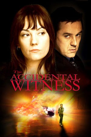 The Accidental Witness Online em HD