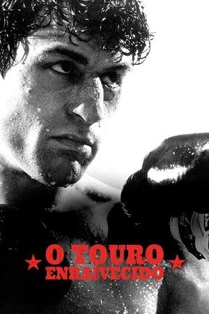 Touro Indomável Online em HD