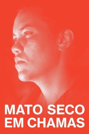 Mato Seco em Chamas Online em HD