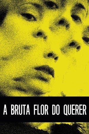 A Bruta Flor do Querer Online em HD