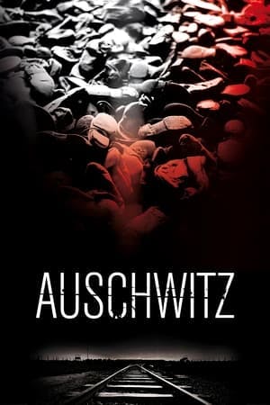 Auschwitz Online em HD