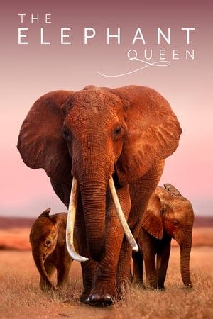 The Elephant Queen Online em HD