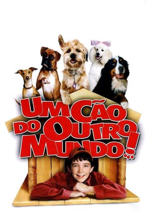 Um Cão de Outro Mundo Online em HD