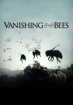 Vanishing of the Bees Online em HD