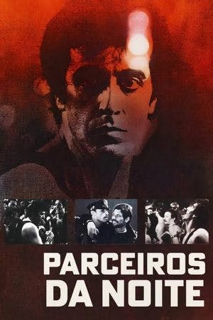Parceiros da Noite Online em HD