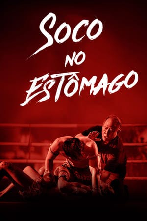 Soco no Estômago Online em HD