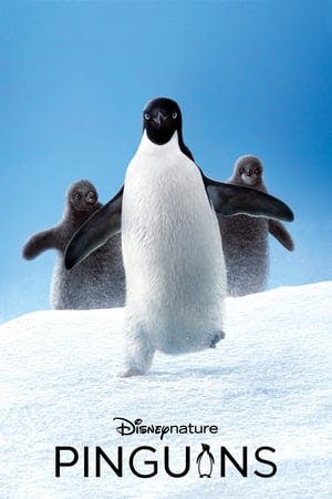 Pinguins Online em HD