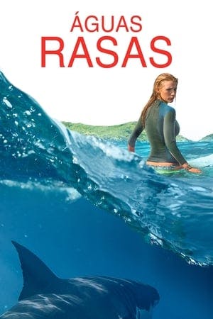 Águas Rasas Online em HD