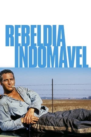 Rebeldia Indomável Online em HD