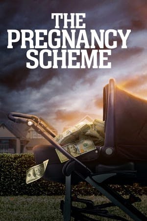 The Pregnancy Scheme Online em HD