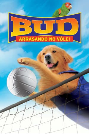 Bud 5: Arrasando no Vôlei! Online em HD