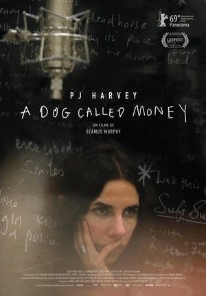 PJ Harvey: Um Cão Chamado Dinheiro Online em HD