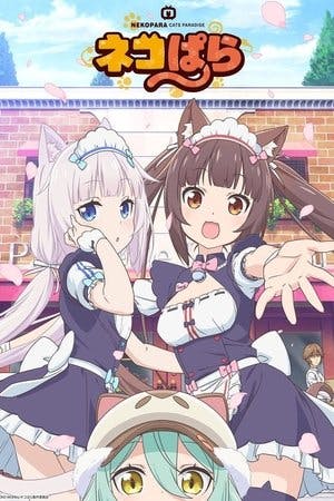 Nekopara Online em HD