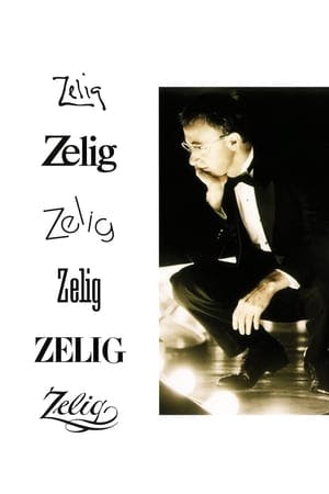 Zelig Online em HD