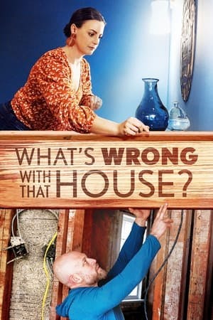 What’s Wrong with That House? Online em HD