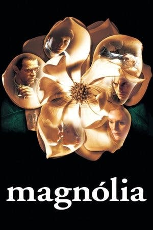 Magnólia Online em HD