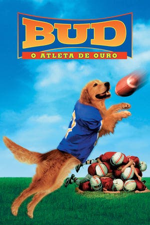 Bud 2: O Atleta de Ouro Online em HD