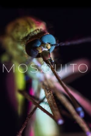 Mosquito Online em HD