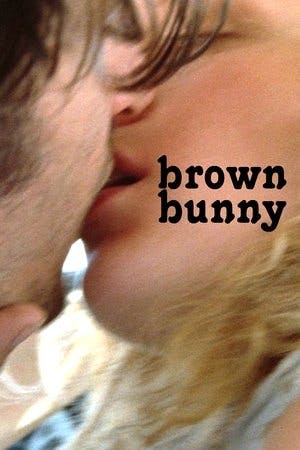 Brown Bunny Online em HD