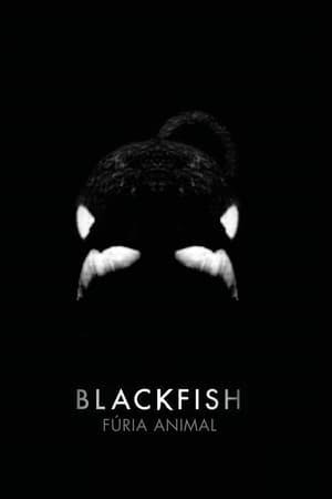 Blackfish: Fúria Animal Online em HD