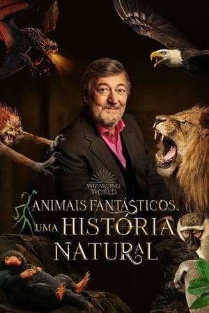 Animais Fantásticos Uma História Natural Online em HD