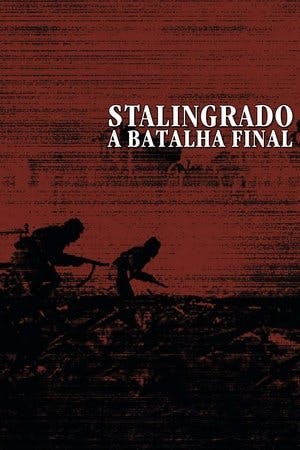 Stalingrado – A Batalha Final Online em HD